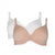 Front - Gorgeous Womens/Ladies Wing Lace T-Shirt Bra (Pack of 2)