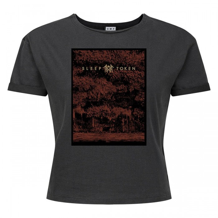 Front - Amplified Womens/Ladies Flamingo Sleep Token Crop Top