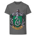 Front - Harry Potter Official Boys Slytherin Crest T-Shirt