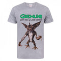 Front - Gremlins Official Mens After Midnight T-Shirt