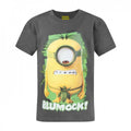 Front - Minions Official Childrens/Kids Blumock T-Shirt