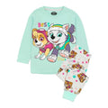 Front - Paw Patrol Childrens/Kids Skye & Everest Long-Sleeved Pyjama Set