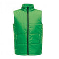 Front - Regatta Standout Mens Access Insulated Bodywarmer
