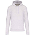 Front - Kariban Mens Eco Friendly Hoodie