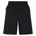 Front - Dare 2B Womens/Ladies Torrek Shorts