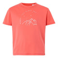 Front - Regatta Childrens/Kids Alvarado IX Mountain T-Shirt