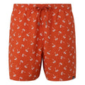 Front - Regatta Mens Loras Palm Swim Shorts
