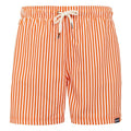 Front - Regatta Mens Loras Stripe Swim Shorts