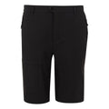 Front - Regatta Mens Highton II Long Length Walking Casual Shorts