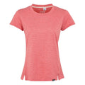 Front - Regatta Womens/Ladies Limonite VIII T-Shirt