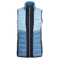 Front - Regatta Womens/Ladies Leedre Body Warmer