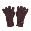 Front - Regatta Womens/Ladies Winter Gloves
