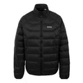 Front - Regatta Mens Dalent Padded Jacket