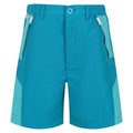 Front - Regatta Childrens/Kids Sorcer II Mountain Shorts