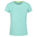 Front - Regatta Womens/Ladies Fingal Edition Marl T-Shirt