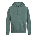 Front - Comfort Colors Mens Plain Hoodie