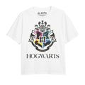 Front - Harry Potter Girls Hogwarts Houses T-Shirt