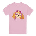 Front - Paw Patrol Unisex Adult Skye Grin T-Shirt