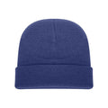 Royal - Side - Absolute Apparel Knitted Turn Up Ski Hat