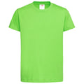 Kiwi Green - Front - Stedman Childrens-Kids Classic Tee