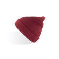 Red - Back - Atlantis Blog Waffle Beanie