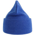 Royal Blue - Back - Atlantis Unisex Adult Pure Recycled Beanie