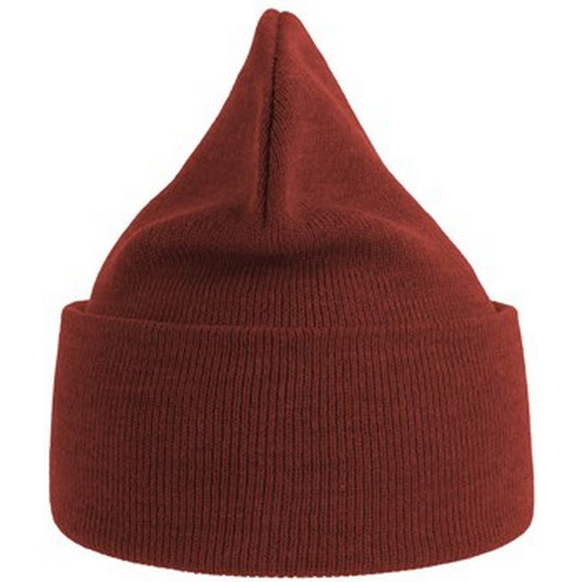 Rust - Back - Atlantis Unisex Adult Pure Recycled Beanie