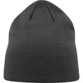 Dark Grey - Front - Atlantis Unisex Adult Moover Recycled Beanie