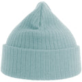 Light Blue - Back - Atlantis Unisex Adult Rio Ribbed Recycled Beanie