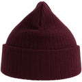 Burgundy - Back - Atlantis Unisex Adult Rio Ribbed Recycled Beanie