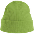 Acid Green - Side - Atlantis Unisex Adult Rio Ribbed Recycled Beanie