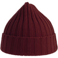 Burgundy - Back - Atlantis Unisex Adult Shore Chunky Recycled Beanie