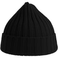 Black - Back - Atlantis Unisex Adult Shore Chunky Recycled Beanie