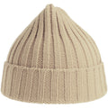 Beige - Back - Atlantis Unisex Adult Shore Chunky Recycled Beanie