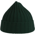 Bottle Green - Back - Atlantis Unisex Adult Shore Chunky Recycled Beanie