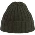 Olive - Side - Atlantis Unisex Adult Shore Chunky Recycled Beanie
