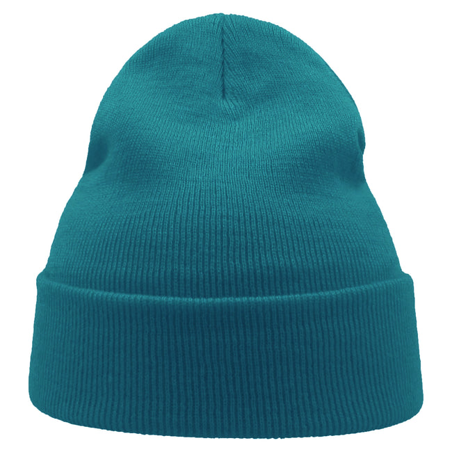 Turquoise - Side - Atlantis Unisex Adult Wind Recycled Cuffed Beanie
