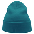 Turquoise - Side - Atlantis Unisex Adult Wind Recycled Cuffed Beanie