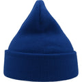 Royal Blue - Back - Atlantis Unisex Adult Wind Recycled Cuffed Beanie