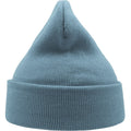 Light Blue - Back - Atlantis Unisex Adult Wind Recycled Cuffed Beanie