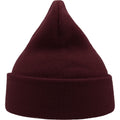 Burgundy - Back - Atlantis Unisex Adult Wind Recycled Cuffed Beanie