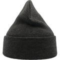 Dark Grey - Back - Atlantis Unisex Adult Wind Recycled Cuffed Beanie