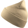 Beige - Front - Atlantis Unisex Adult Wind Recycled Cuffed Beanie