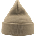 Beige - Back - Atlantis Unisex Adult Wind Recycled Cuffed Beanie