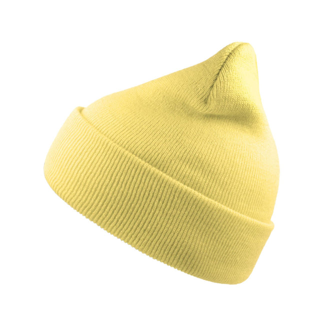 Lemonade - Front - Atlantis Unisex Adult Wind Recycled Cuffed Beanie