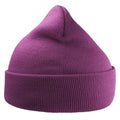 Violet - Front - Atlantis Unisex Adult Wind Recycled Cuffed Beanie