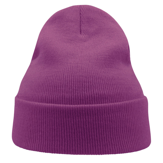 Violet - Side - Atlantis Unisex Adult Wind Recycled Cuffed Beanie
