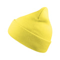 Light Yellow - Back - Atlantis Unisex Adult Wind Recycled Cuffed Beanie