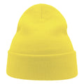Light Yellow - Side - Atlantis Unisex Adult Wind Recycled Cuffed Beanie