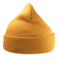 Gold Yellow - Front - Atlantis Unisex Adult Wind Recycled Cuffed Beanie
